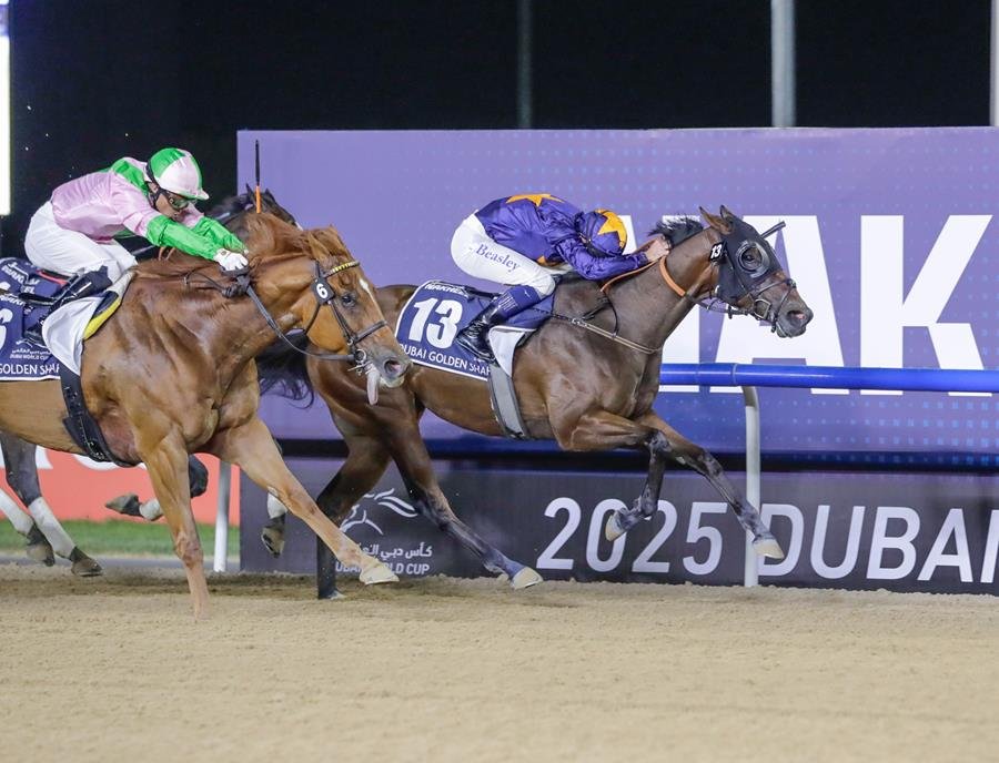 Nakheel renews Dubai World Cup sponsorship for 30th anniversary, supports $2 million Shaheen