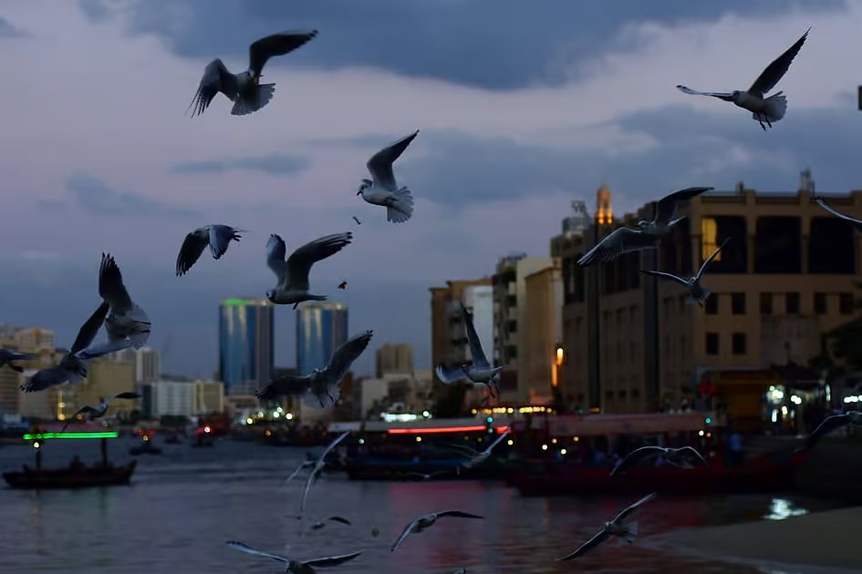 UAE weather: Fair skies, cool temperatures ahead after unstable conditions end