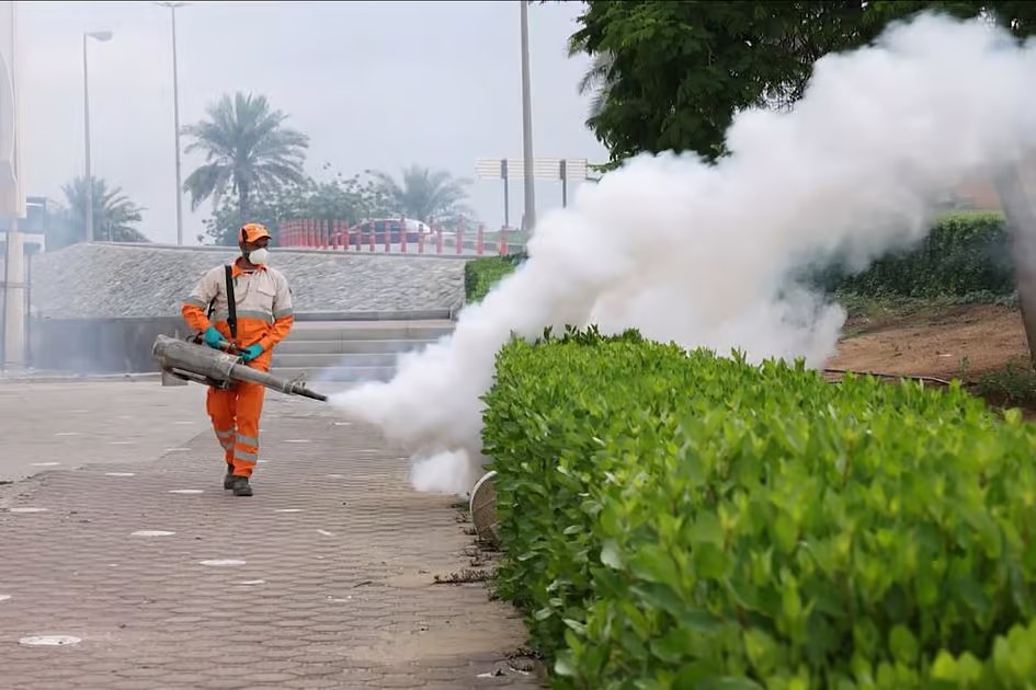 Sharjah launches large-scale disinfection drive to deal with stagnant rainwater