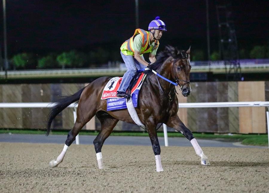 Global spotlight falls on Meydan as 170 nations tune in for Dubai World Cup