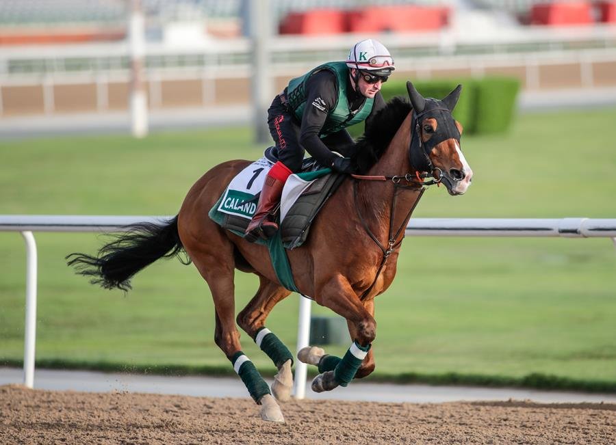 Dubai World Cup: Calandagan starts out on defence of its World’s Best Racehorse crown in $6m Longines Dubai Sheema Classic