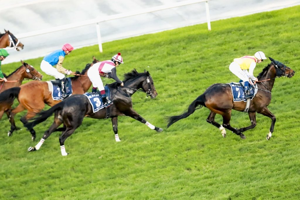 Dubai World Cup: Popular win for Emirati speedster Native Approach in Al Quoz Sprint