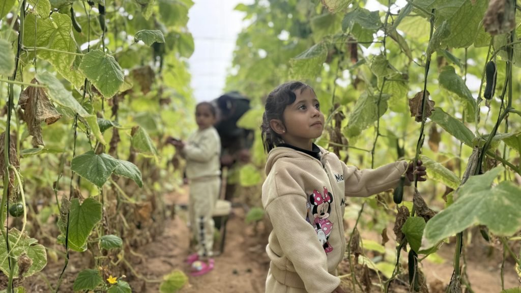TBHF builds livelihoods while protecting planet