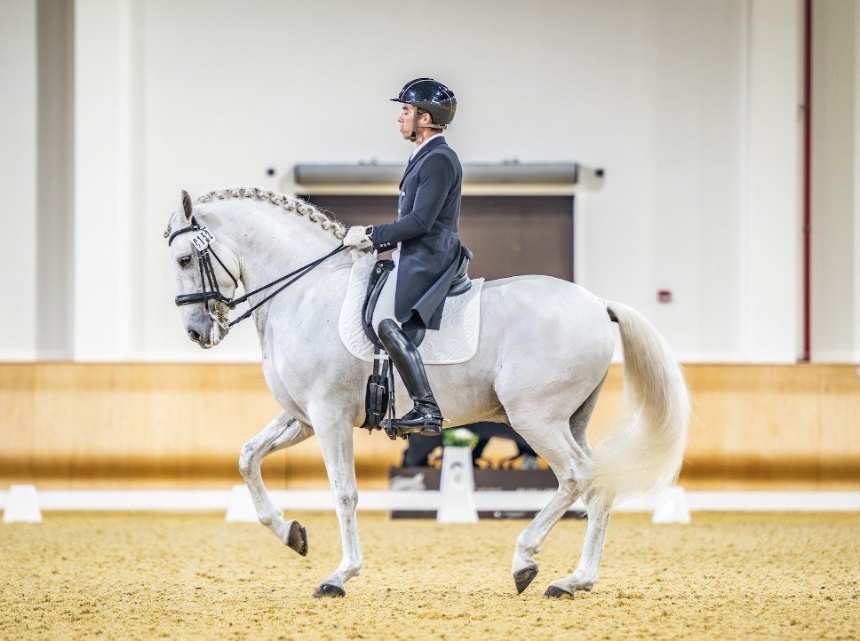Royal Stables set to host UAE National Dressage Championships for first time
