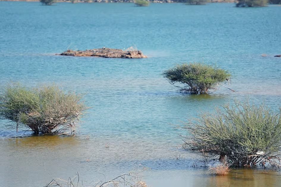 Look: Stunning sights as UAE dams fill up after a week of rains, near capacity