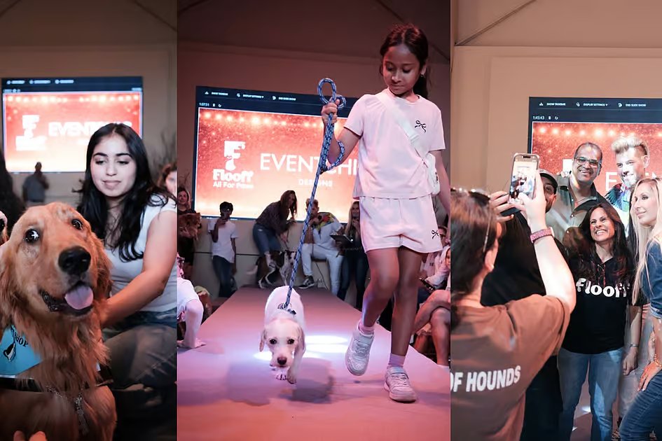 How this pet adoption runway in UAE helped rescue dogs find potential homes