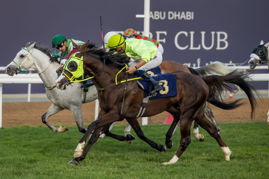 Field of 109 horses compete in Race Meeting 15 at Abu Dhabi Turf on Saturday