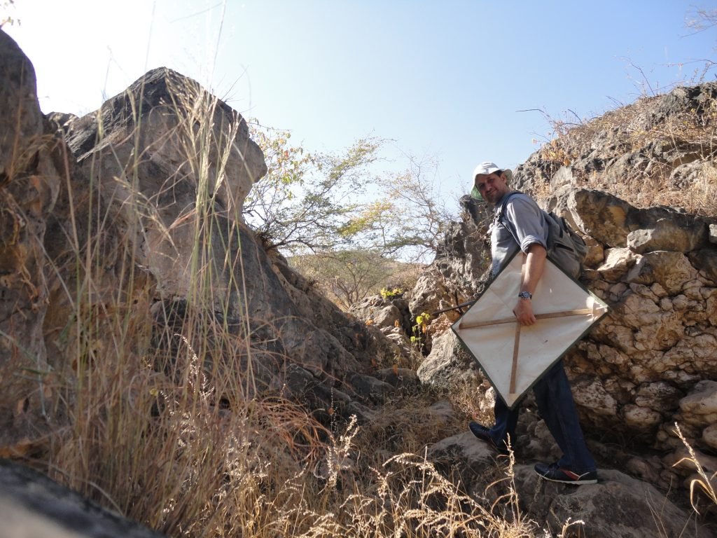EPAA discovers 4 new spider species in UAE