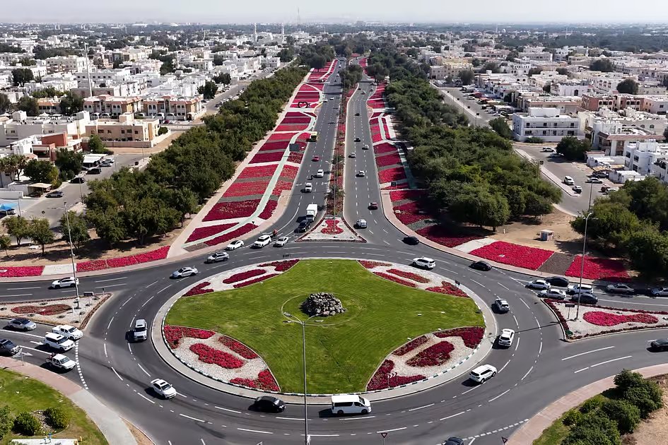 Al Ain plants over 5 million flower seedlings every year for colourful roads, parks