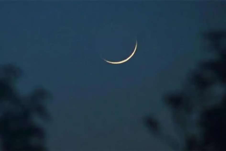 UAE ministry announces full readiness for Eid Al Adha sacrificial season