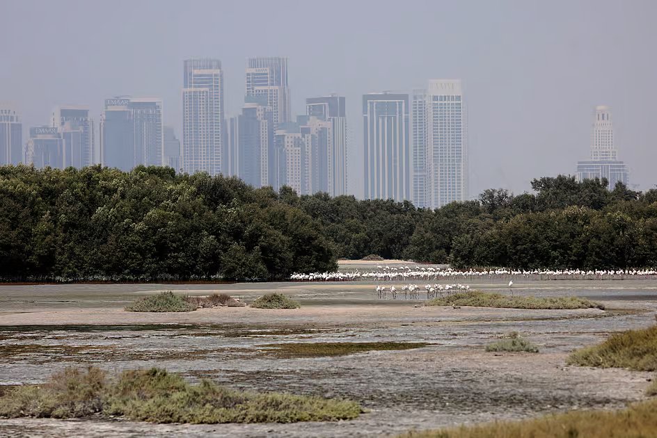 UAE weather tomorrow: Temperatures to increase; high of 45ºC in Al Ain