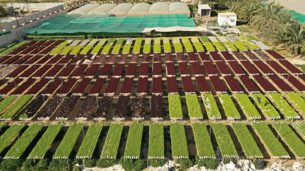 UAE accelerates drive to take national products to global markets